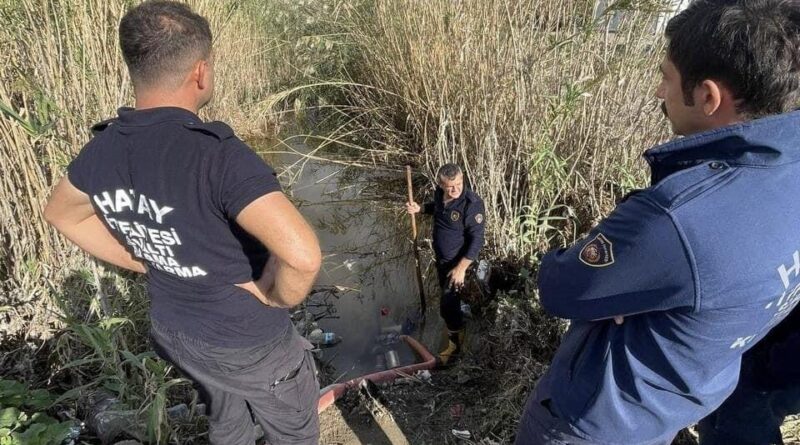 Samandağ'da Yağmur Suyu Giderinde Mahsur Kalan Yavru Köpekler Kurtarıldı 1