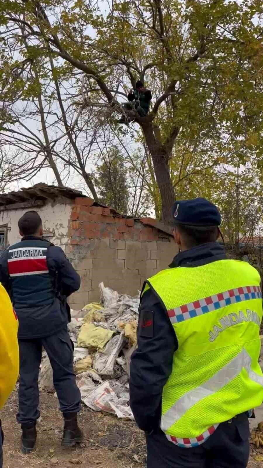 Tekirdağ’da İ.Ö. Ailevi Sorunlar Sonrası Ağaca Çıkıp İpi Boynuna Astı