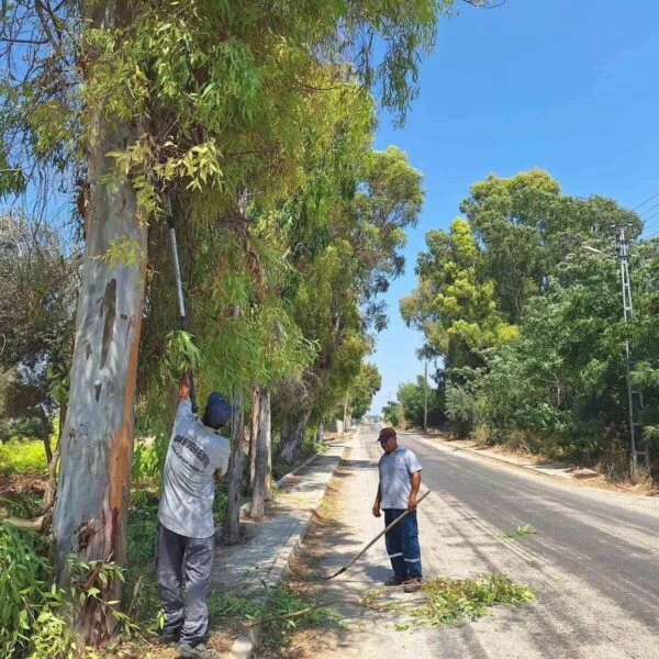 Adana Büyükşehir Belediyesi ve Yumurtalık Belediyesi ekipleri Yumurtalık'ta çevre temizliği çalışması yapıyor.-1