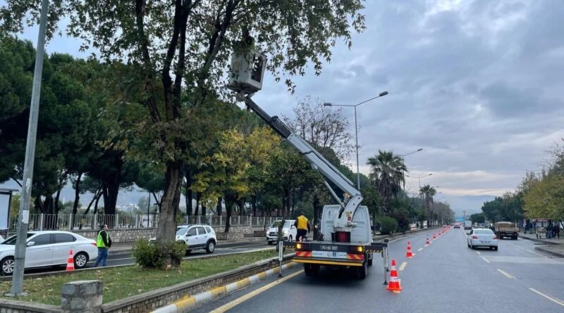 Aydın Büyükşehir Belediyesi Park ve Bahçeler Dairesi Başkanlığı'nın Ayda Teşvik Edici Çalışmaları 1