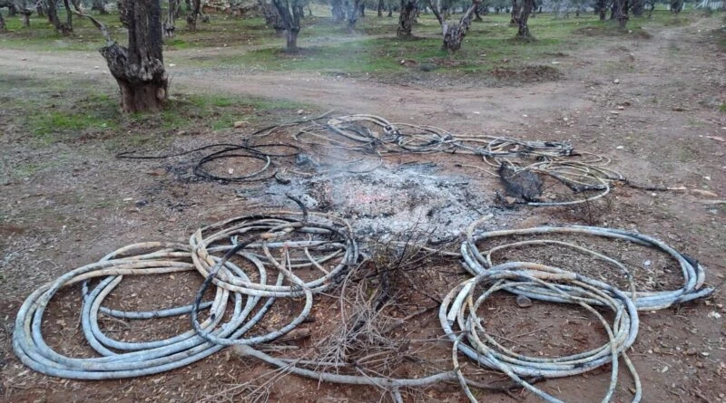 Aydın'ın Germencik'te Enerji Kablosunu Çalan Şahıslar Jandarma'ya Yakalandı 1