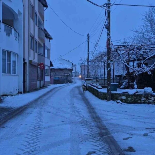 Aydın Kuyucak'ta kar yağışı sonrası yaylalar-1