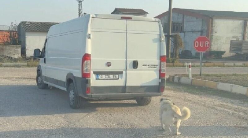 Balıkesir Göneninde Köpek Kamyonet Arkasına Bağlanarak Taşınması Sonrası 65 Bin TL Para Cezası 1