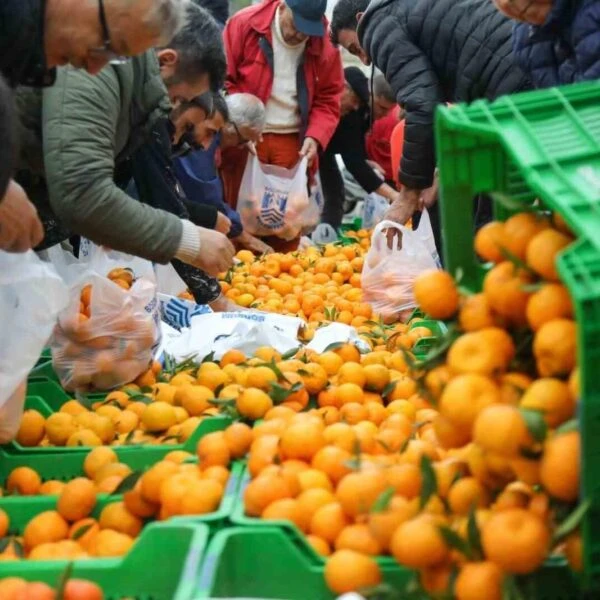 Bodrum Belediye Başkanı Tamer Mandalinci, Bodrum mandalinini vatandaşlara dağıtıyor.-1