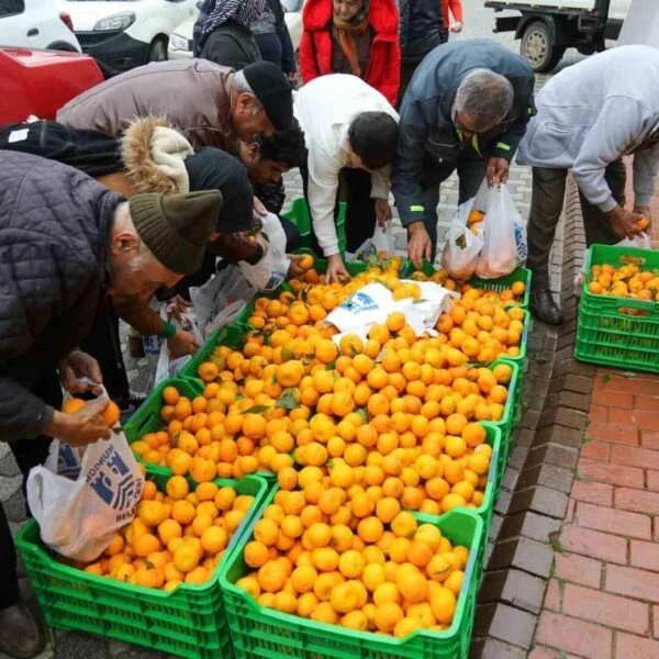 Bodrum Belediye Meydanı'nda Bodrum mandalin dağıtım etkinliği sırasında vatandaşlar.-2