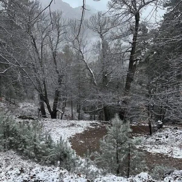 Buldan ilçesinde kar yağışı sonrası-2