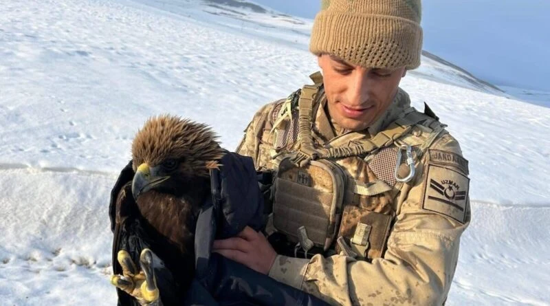 Erzurum'da Jandarma, Bitkin Kartal'ı Koruma Altına Aldı 1