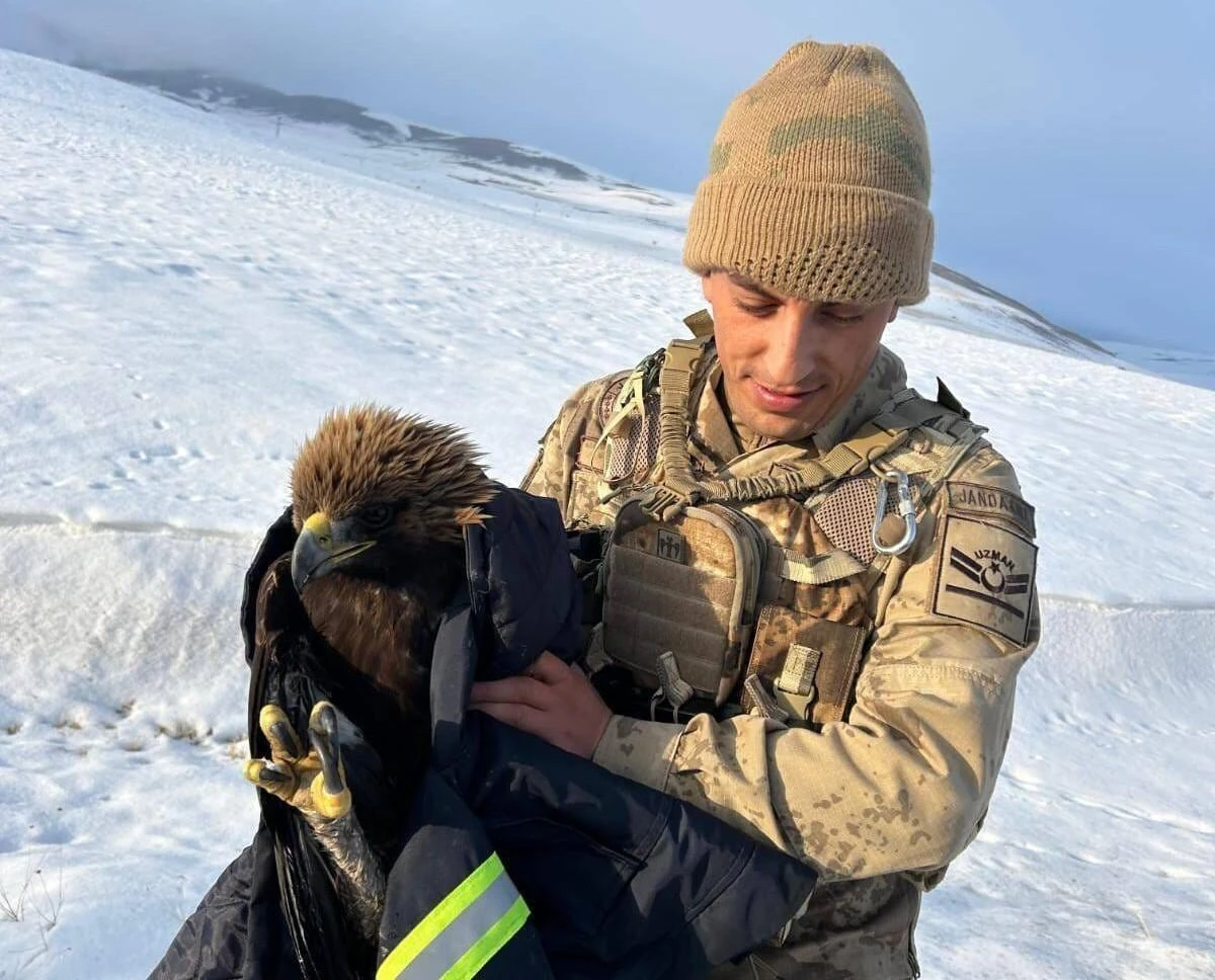 Erzurum’da Jandarma, Bitkin Kartal’ı Koruma Altına Aldı