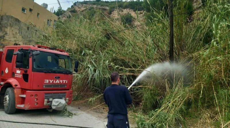 Hatay Samandağ'ta Kamışlık Alan Yangını: Elektrik Tellerinin Teması Nedeniyle Yangın Söndürülerek Son Buldu 1