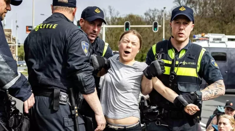 greta thunberg türkiye ne dedi küfür etti video izle