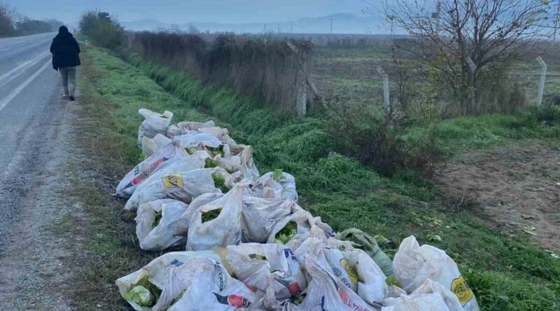 İzmir'in Tire İlçesinde Marul Çaldığı Suçüstü Yakalanan 3 Şüpheli Tutuklandı 1