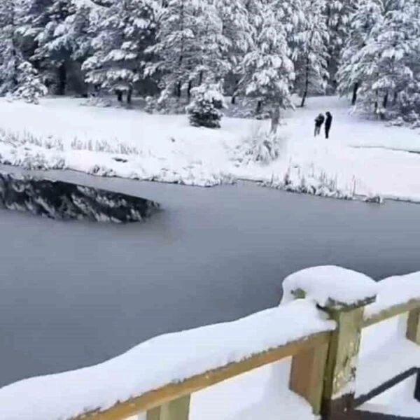 Kar altında Akdağ Tabiat Parkı'nın manzarası.