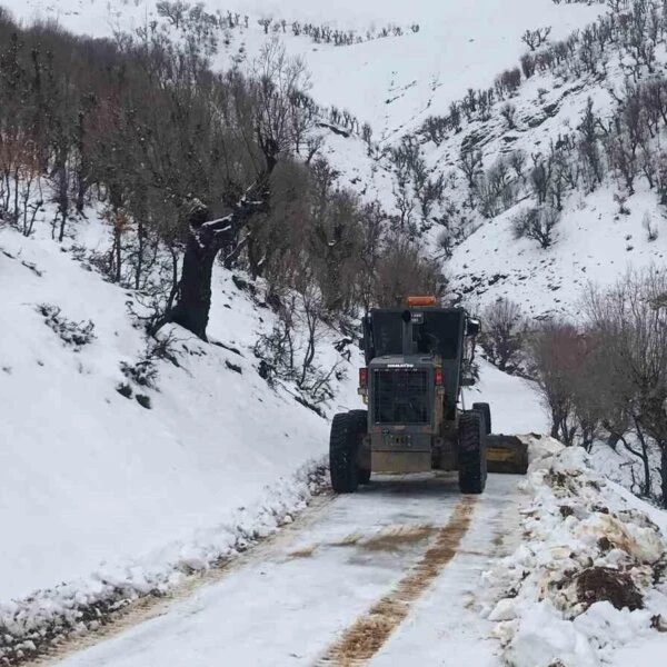 Kulp ilçesinde kar yağışı nedeniyle kapanan yollar.