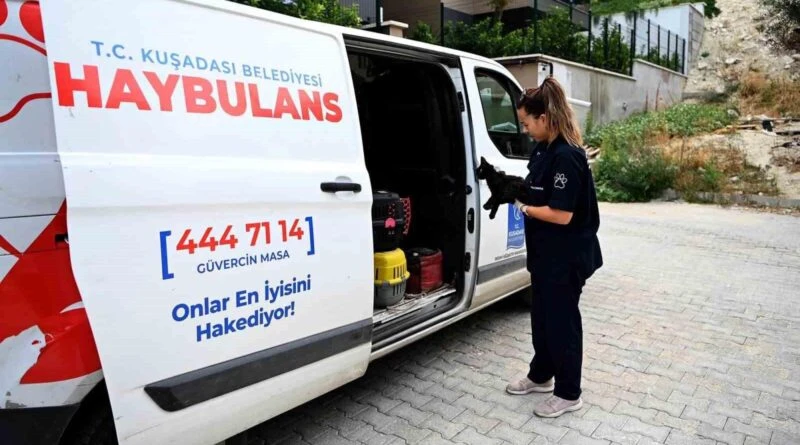 Kuşadası Belediyesi Haybulans Hizmeti ile 21 Bin 127 Sokak Hayvanına Umut 1