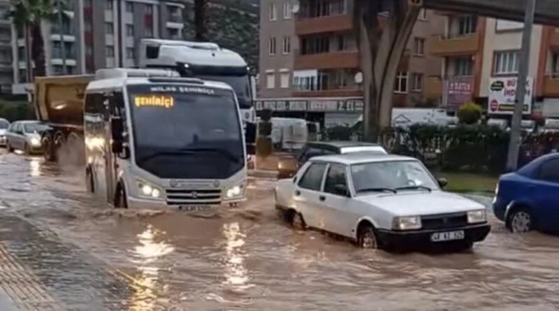 Milas'ta Göre Göre Yağış Sonrası Su Baskınları ve Vatandaş Tepkisi 1