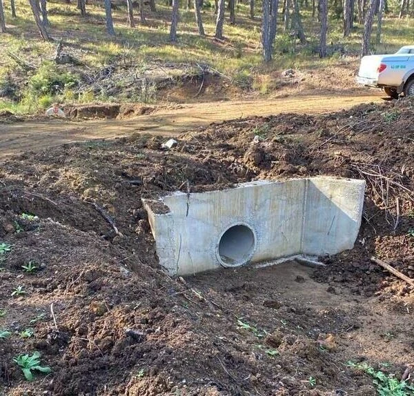 Orman Bölge Müdürlüğü'nün yatırım planı-2