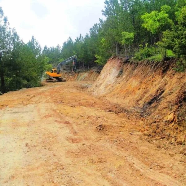 Orman Bölge Müdürlüğü'nün yatırım planı-4