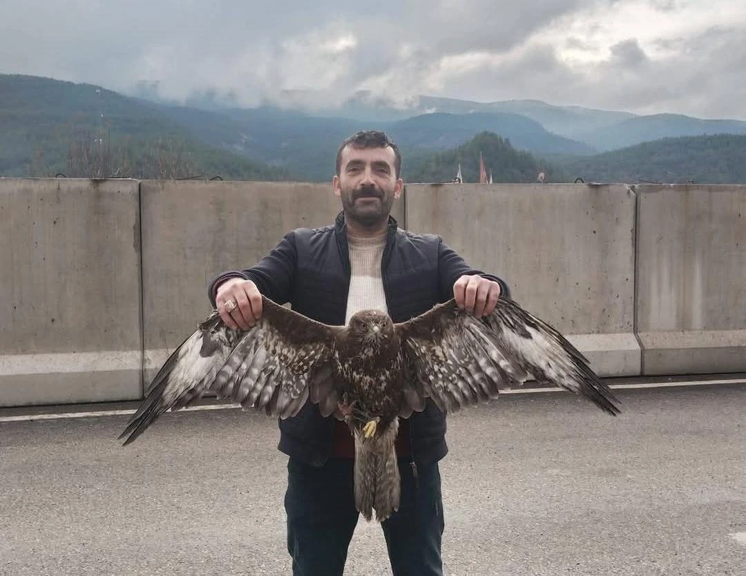 Safranbolu’da Yaralı Şahin Jandarma Ekiplerine Teslim Edildi