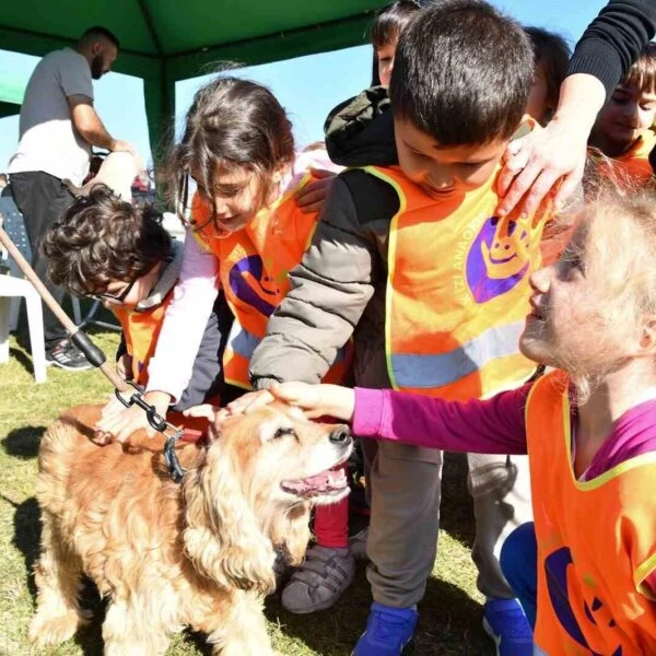 Sokak hayvanları için bir yuva sunan Tepebaşı Belediyesi Doğal Yaşam Merkezi-1