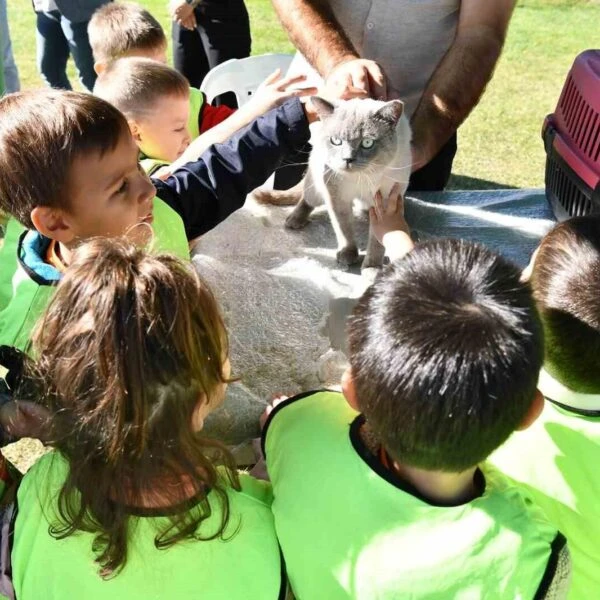 Sokak hayvanları için bir yuva sunan Tepebaşı Belediyesi Doğal Yaşam Merkezi-3