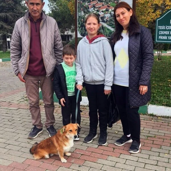 Sokak hayvanlarının Sahipsiz Hayvanlar Doğal Yaşam ve Tedavi Merkezi'nde bakımı-1