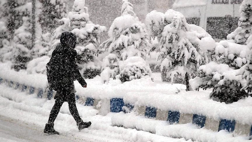 Ardahan yarın okullar tatil mi