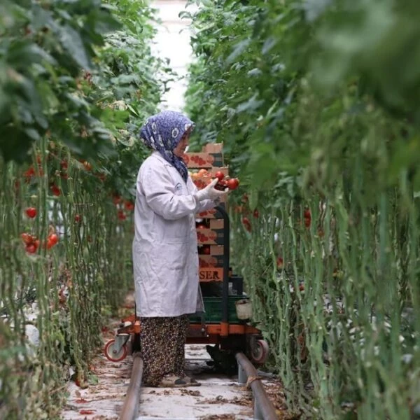 Türkiye'deki jeotermal enerji santrali-3