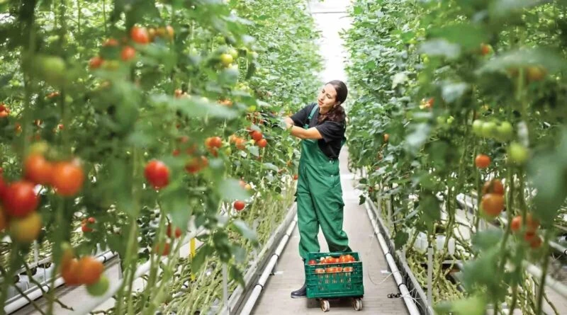 Türkiye, Jeotermal Enerjide Dünya Liderliği İçin Koşul Yaratıyor 1