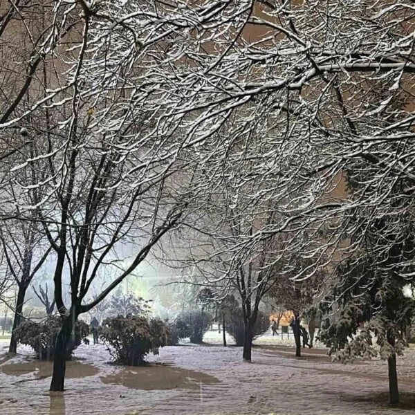 Vatandaşların kartopu oynadığı bir sahne-9