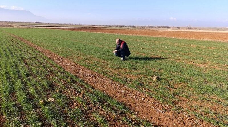 Afyonkarahisar Başmakçı'da Tarım Arazilerinde Kontrol Faaliyetleri 1