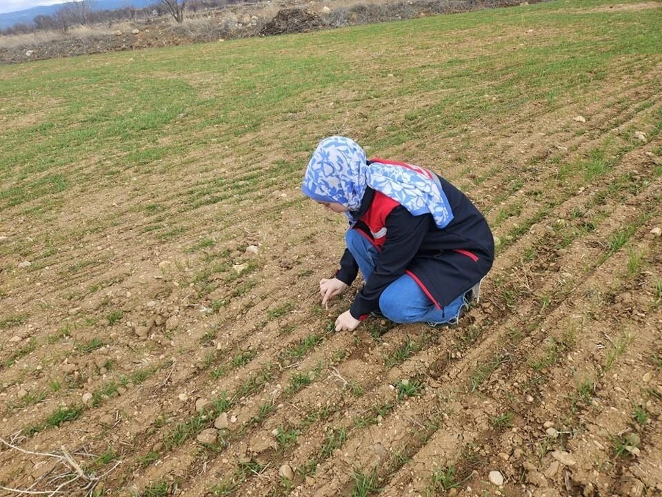 Afyonkarahisar’da Hububat ve Haşhaş Ekili Alanlarda Arazi Kontrolleri