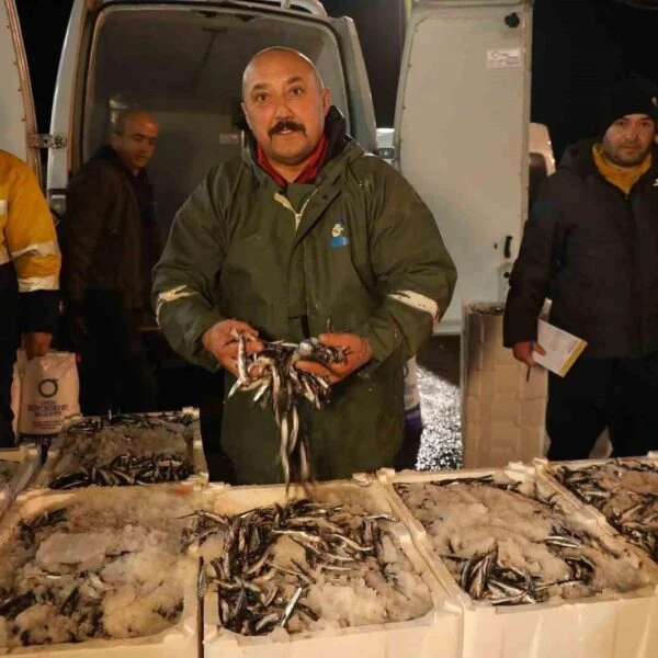 Altınordu Su Ürünleri Hali'nde sabahın ilk saatlerinde getirilen balıkların  denetimlendiği görüntü-2