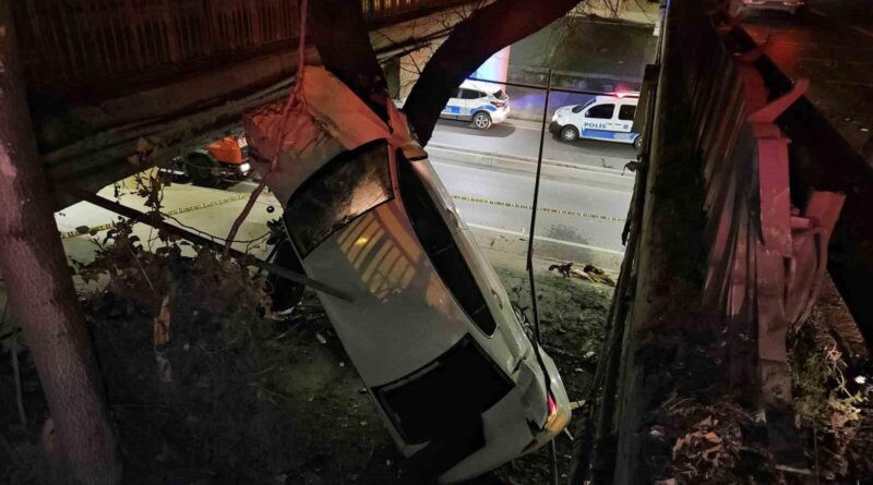 Ataköy'de Alkollü Sürücü Kaza Yarattı, Araç Ağaca Çarpıp Asılı Kaldı 1