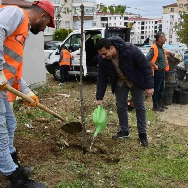 Atakum Belediyesi'nin seracılık alanında yetiştirilen meyveler-2