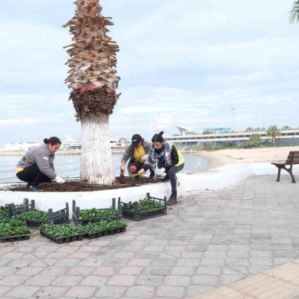 Aydın Büyükşehir Belediyesi ekiplerinin Kuşadası'nda yaptığı çevre düzenleme çalışması-4