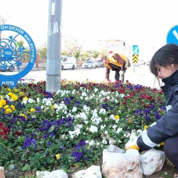 Aydın Büyükşehir Belediyesi ekiplerinin Nazilli'de yaptığı çevre düzenlemesi çalışmaları-4