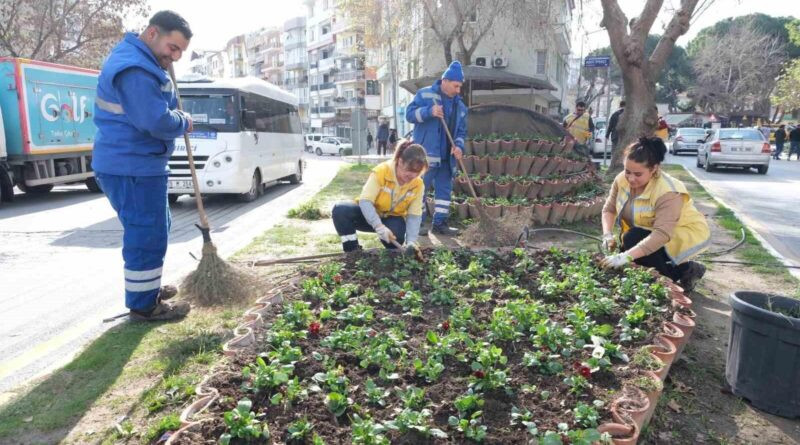 Aydın Büyükşehir Belediyesi, Söke'de Kapsamlı Temizlik ve Peyzaj Çalışmalarıyla Şehrin Estetiğini Arttı 1