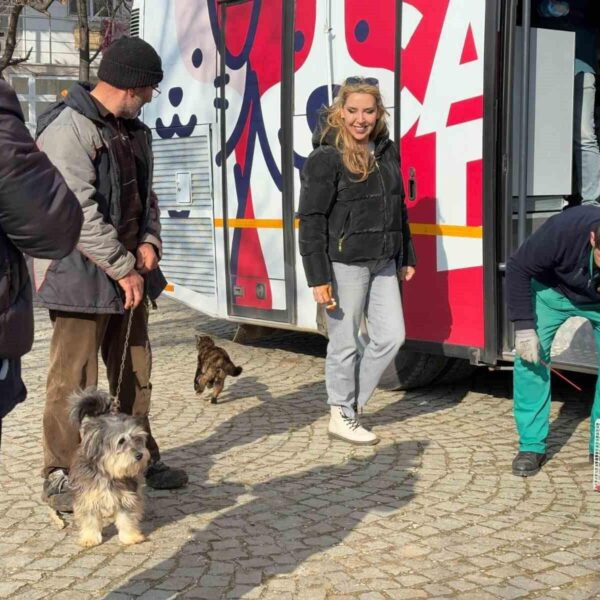 Balıkesir Büyükşehir Belediyesi'nin 'Can Dost' Aracı Paşa Limanı Adası'nda sokak hayvanlarına sağlık hizmeti sunuyor.-3