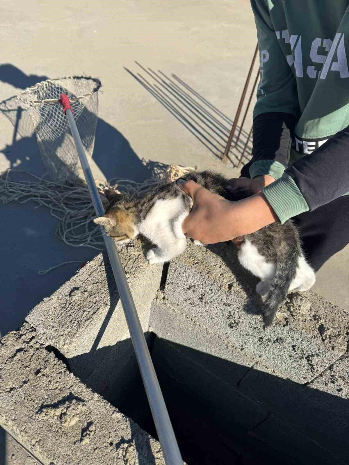 Batman’da Havalandırma Boşluğuna Düşen Kedi İtfaiye Ekipleri Tarafından Kurtarildi