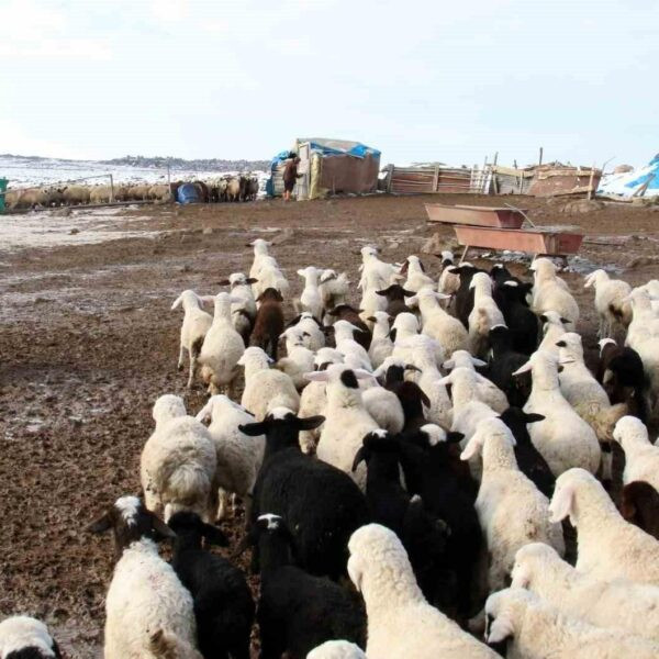 Bayburt İl Tarım ve Orman Müdürlüğü'nün duyurusu