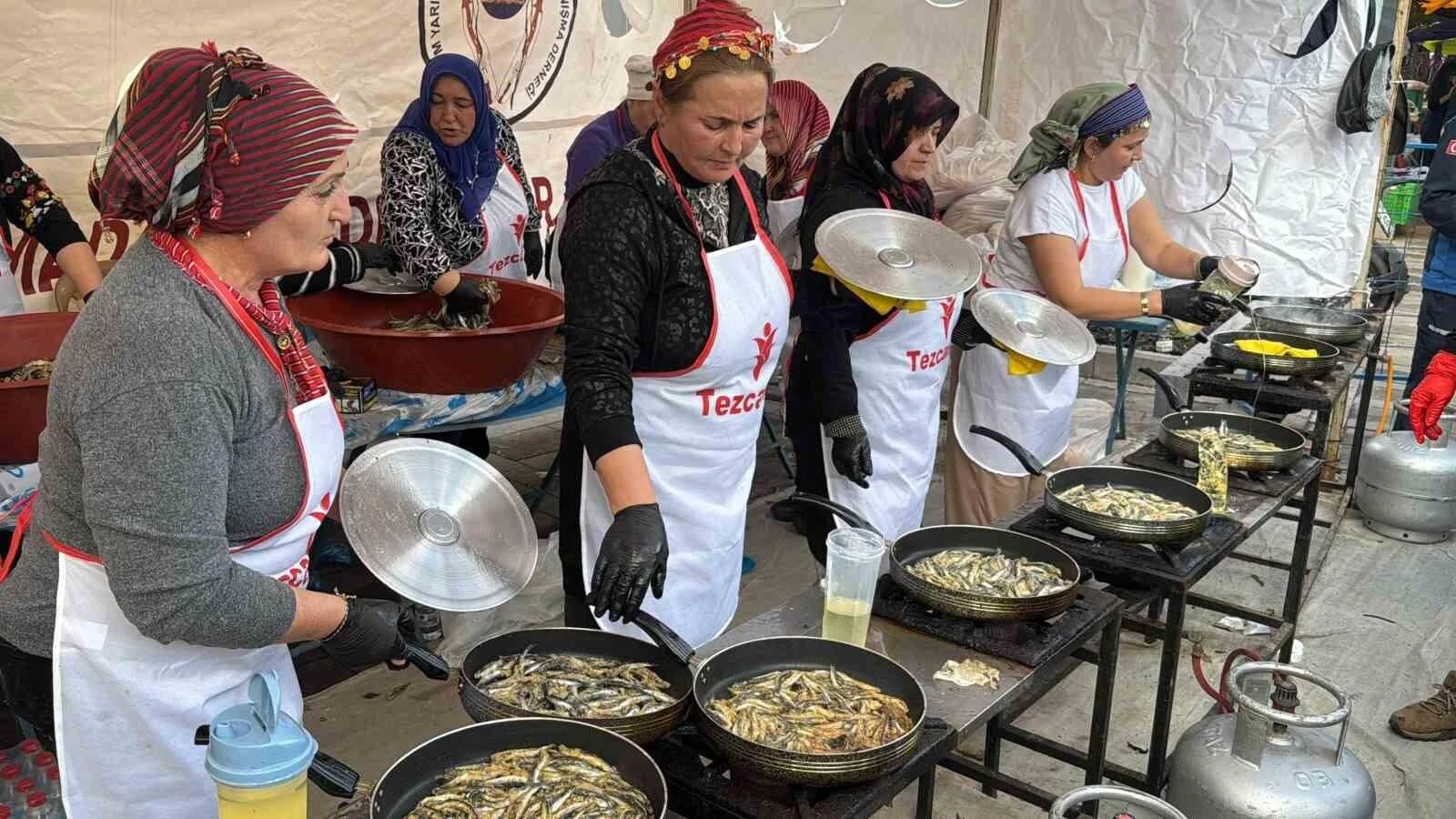 Bodrum’da 9. Hamsi Festivali Coşkuyla Kutlandı