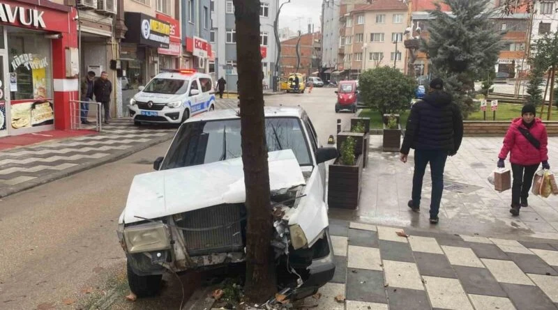 Bolu'da Köpeğe Manevra Yapan Otomobil Ağaca Çarpıp Maddi Hasar Yaşattı 1