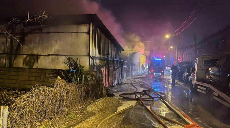 Bursa'da Oto Galeri Yangını: 10 Araç Kullanılamaz Hale Gelir 1