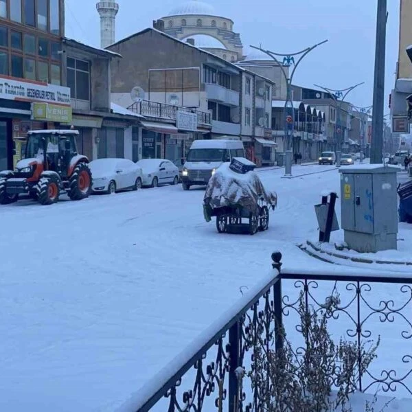 Buzla kaplı çam ağaçları-2