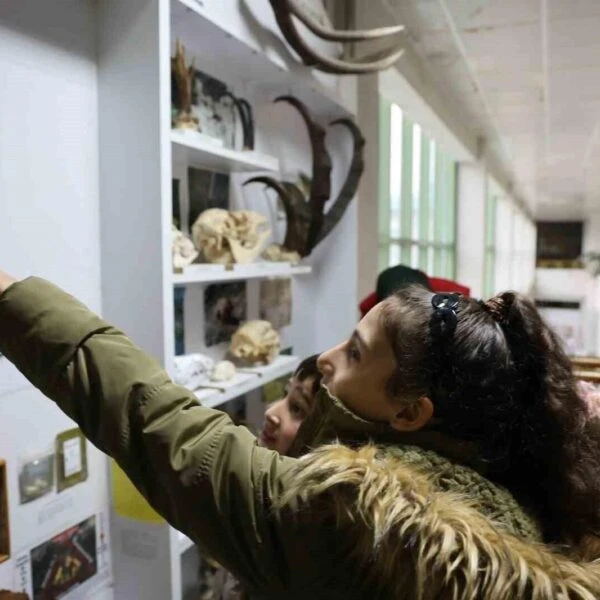 Çalıcuma İlkokulu öğrencileri Düzce Üniversitesi'ndeki dondurulmuş hayvan müzesinde-1