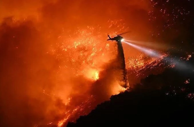 California'da Orman Yangınlarında Ölü Sayısı 24'e Yükseldi 1