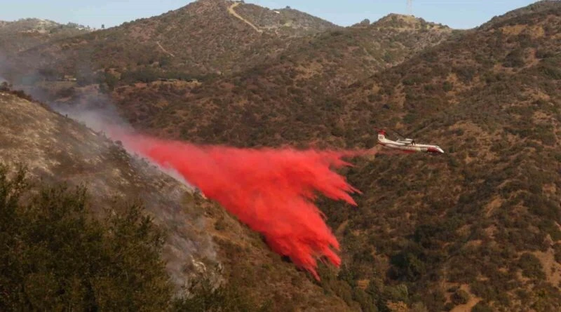 California Orman Yangınları: Mahkumlar ve Ünlüler Yardımcı Olurken Trump'a Ziyaret Davet 1