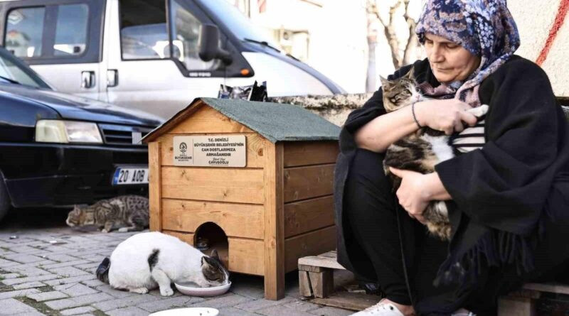 Denizli Büyükşehir Belediye Başkanı Bülent Nuri Çavuşoğlu, Sokak Hayvanları İçin Mama ve Kedi Evi Talebine Hızlı Yanıt Verdi 1