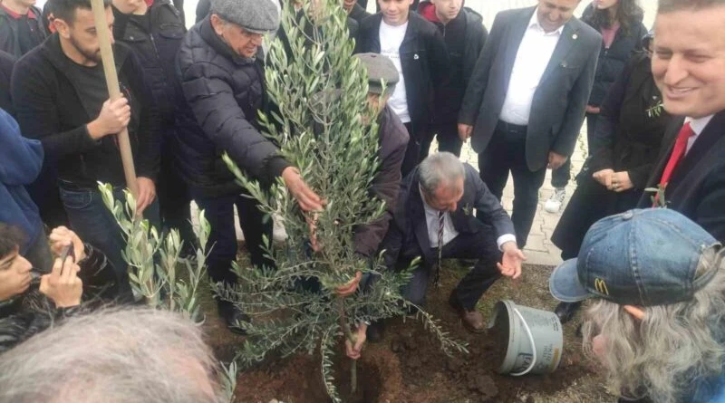 Denizli'nin Necla-Ergun Abalıoğlu Ticaret Mesleki ve Teknik Anadolu Lisesi, 63. Yıl Dönümünde 63 Zeytin Ağacı Dikti 1