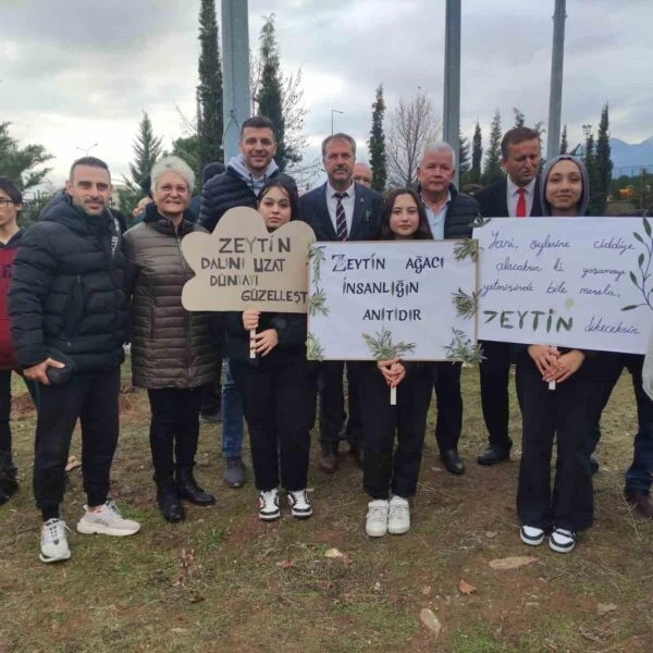 Denizli'nin Necla-Ergun Abalıoğlu Ticaret Mesleki ve Teknik Anadolu Lisesi bahçesinde zeytin ağaçları-3